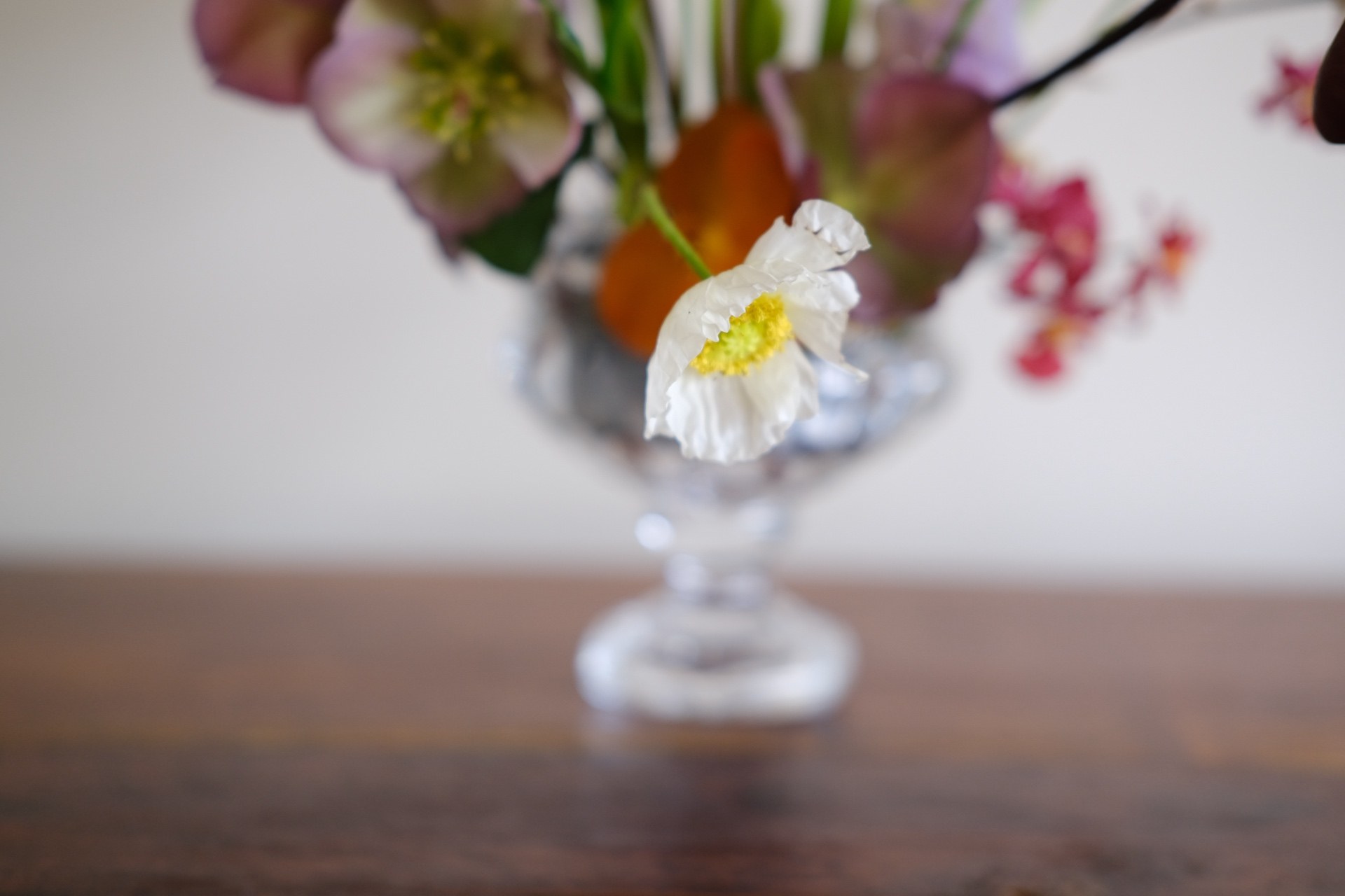 White blooms close-up