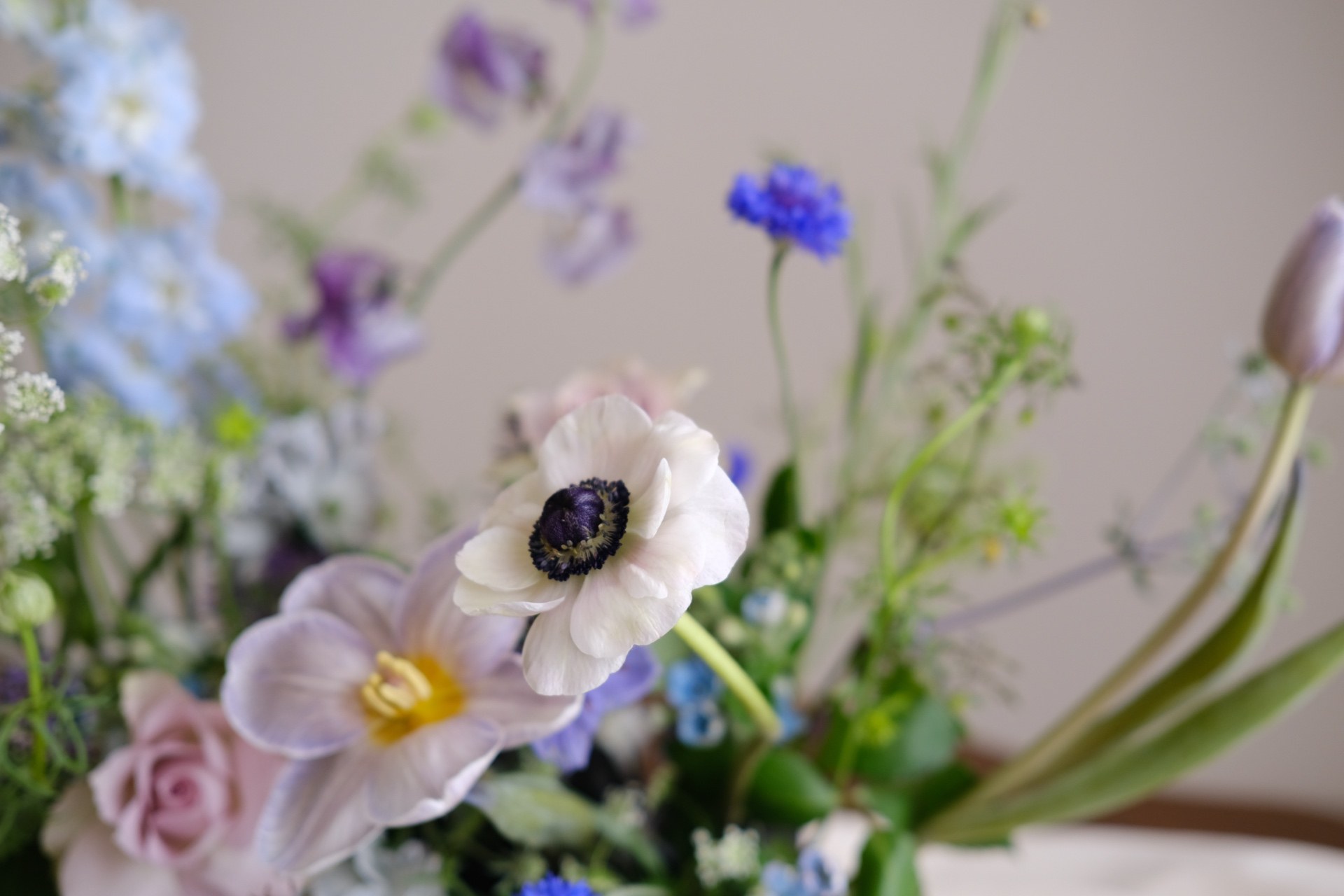 Tulip & anemone arrangement